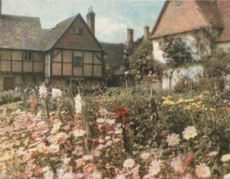 A flower garden, showing a border in front of a wattle and daub house